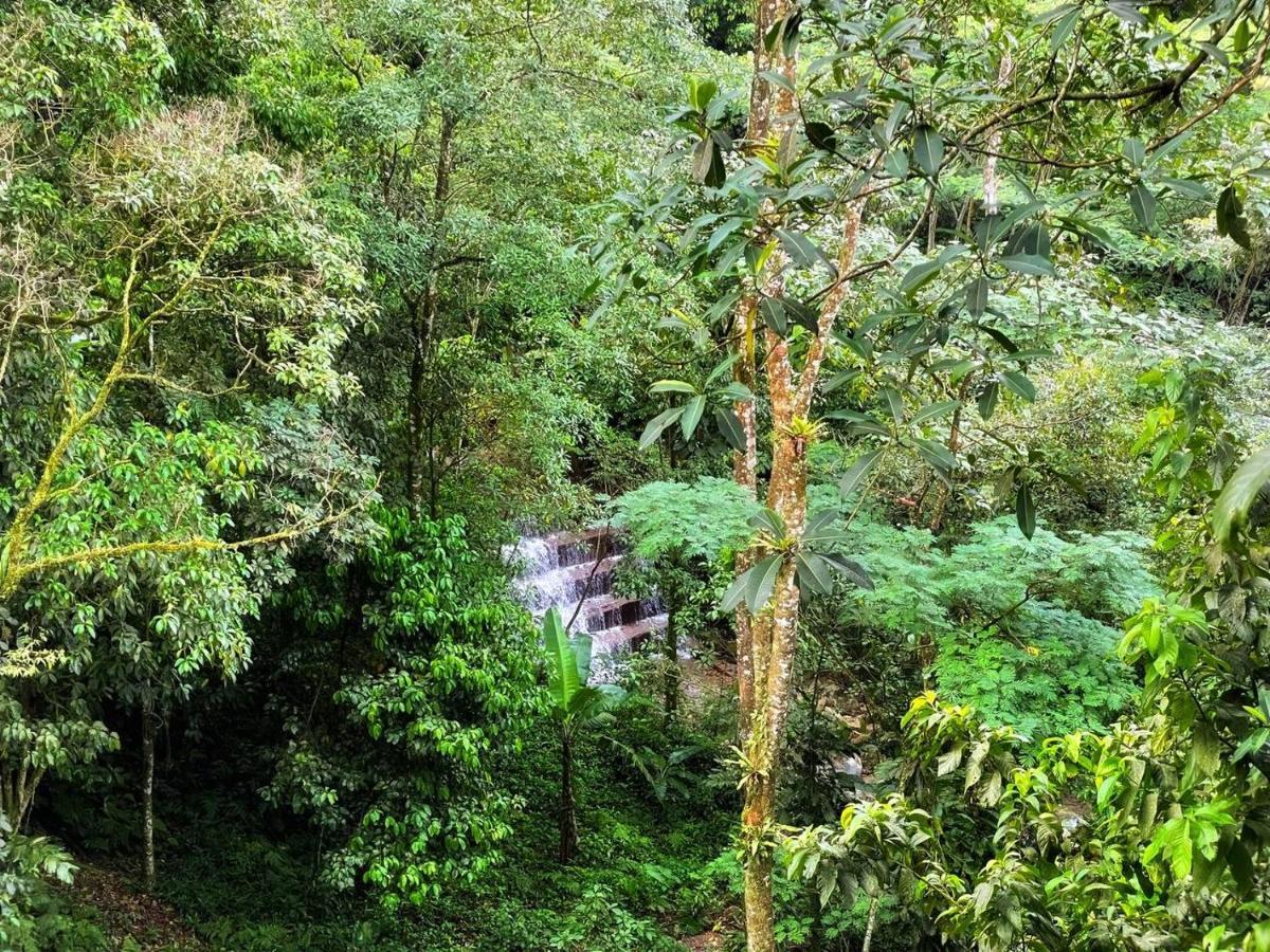 La Nube Eco-Hotel Villavicencio Eksteriør billede