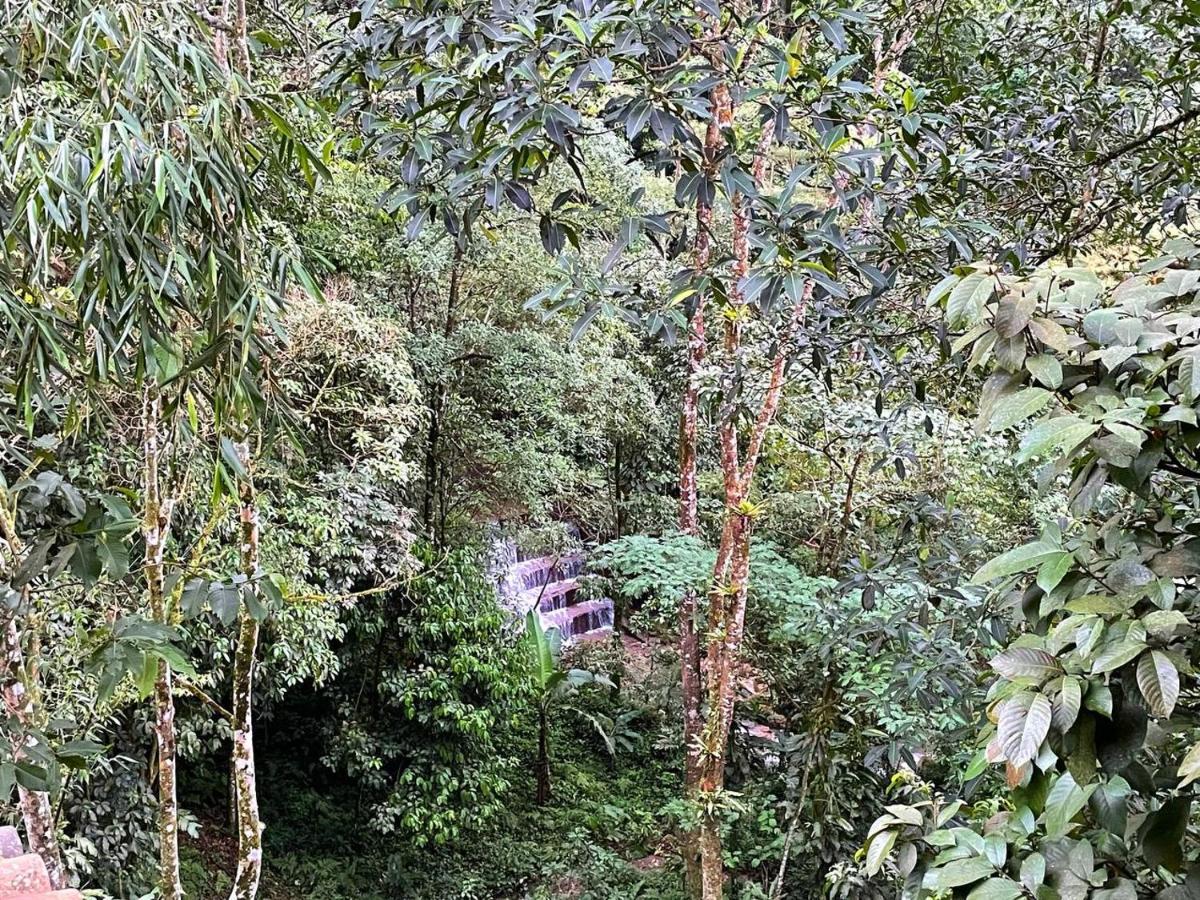 La Nube Eco-Hotel Villavicencio Eksteriør billede